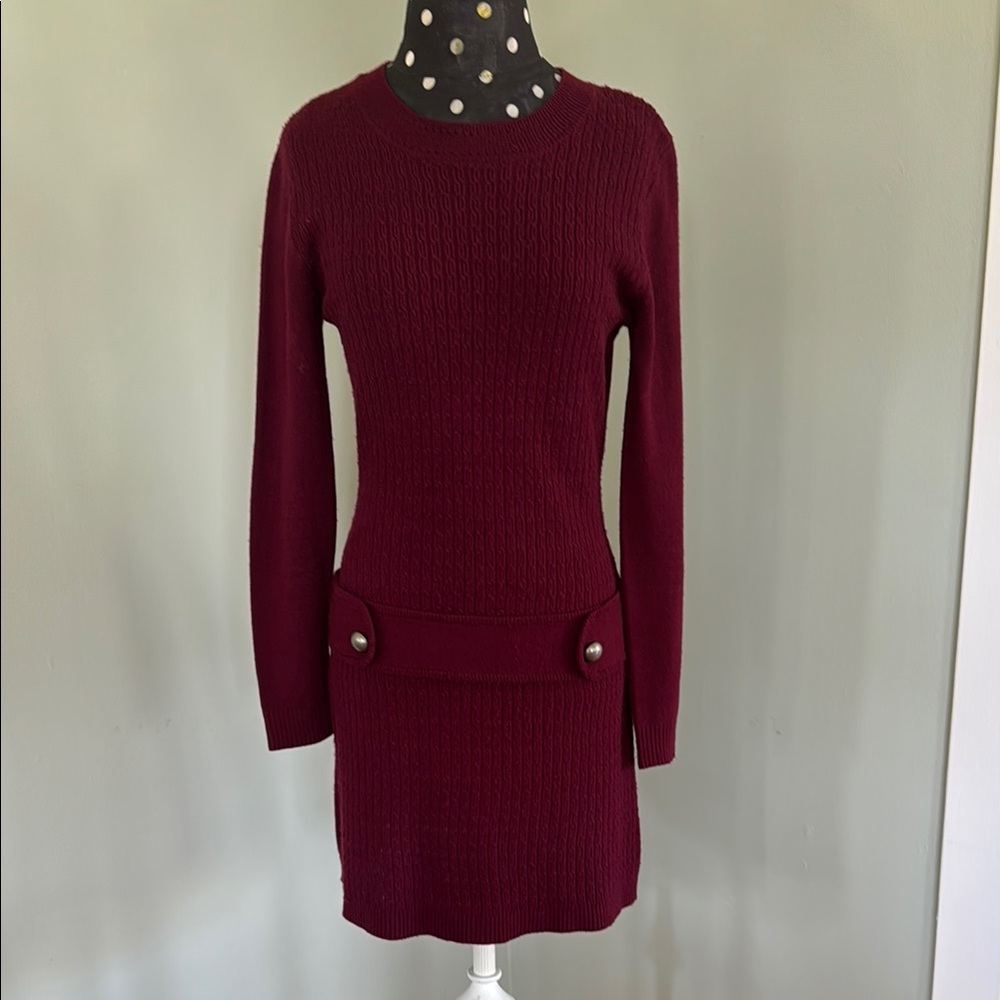Elegant Burgundy Knit Dress